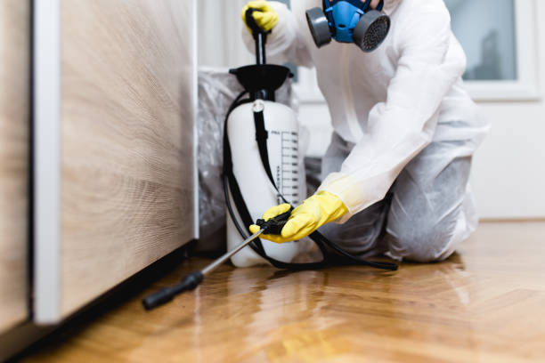 Best Cockroach Control Services  in Chieand, FL