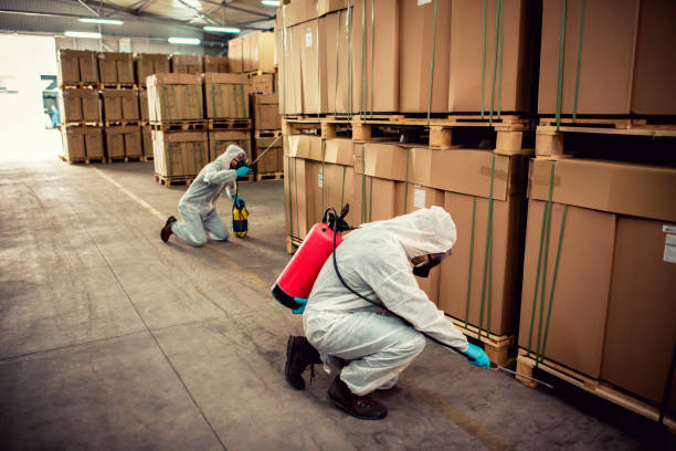 Best Affordable Pest Control Services  in Chieand, FL