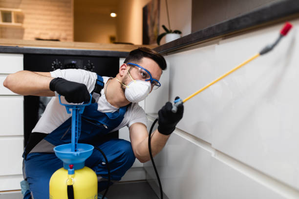 Flea Control Services in Chiefland, FL