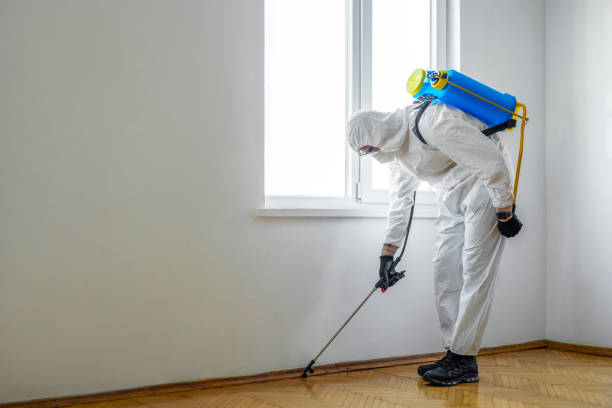 Best Commercial Pest Control Services  in Chieand, FL