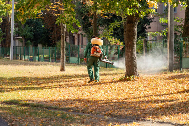 Best Ant Control Services  in Chieand, FL