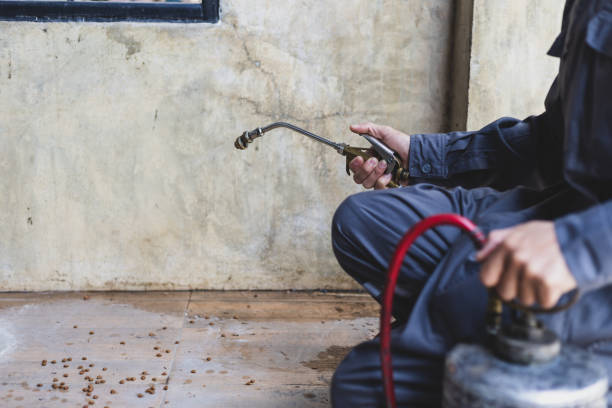 Best Local Pest Control Services  in Chieand, FL